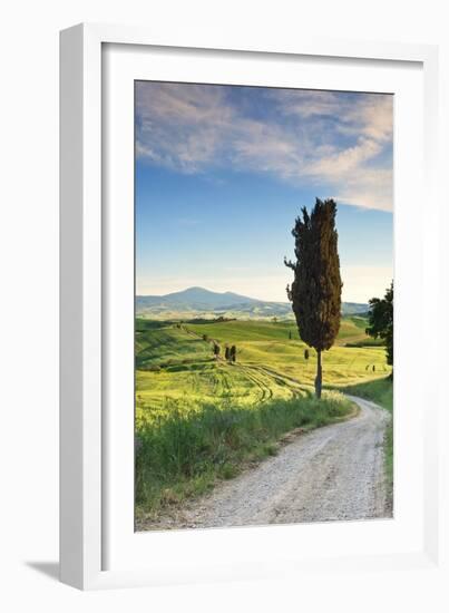 Italy, Tuscany, Siena District, Orcia Valley, Country Road Near Pienza.-Francesco Iacobelli-Framed Photographic Print