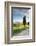 Italy, Tuscany, Siena District, Orcia Valley, Country Road Near Pienza.-Francesco Iacobelli-Framed Photographic Print