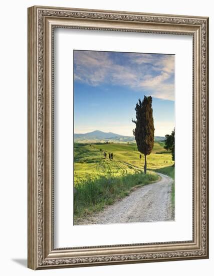 Italy, Tuscany, Siena District, Orcia Valley, Country Road Near Pienza.-Francesco Iacobelli-Framed Photographic Print