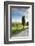 Italy, Tuscany, Siena District, Orcia Valley, Country Road Near Pienza.-Francesco Iacobelli-Framed Photographic Print