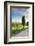 Italy, Tuscany, Siena District, Orcia Valley, Country Road Near Pienza.-Francesco Iacobelli-Framed Photographic Print