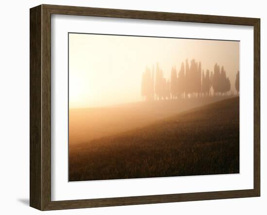 Italy, Tuscany, Siena District, Orcia Valley, Cypress on the Hill Near San Quirico D'Orcia-Francesco Iacobelli-Framed Photographic Print