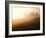 Italy, Tuscany, Siena District, Orcia Valley, Cypress on the Hill Near San Quirico D'Orcia-Francesco Iacobelli-Framed Photographic Print