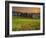 Italy, Tuscany, Siena District, Orcia Valley, Cypress on the Hill Near San Quirico D'Orcia-Francesco Iacobelli-Framed Photographic Print