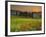 Italy, Tuscany, Siena District, Orcia Valley, Cypress on the Hill Near San Quirico D'Orcia-Francesco Iacobelli-Framed Photographic Print