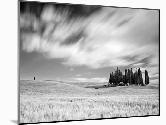 Italy, Tuscany, Siena District, Orcia Valley, Cypress on the Hill Near San Quirico D'Orcia-Francesco Iacobelli-Mounted Photographic Print