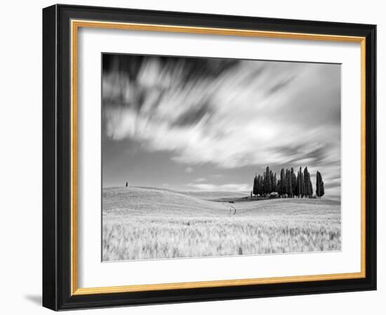 Italy, Tuscany, Siena District, Orcia Valley, Cypress on the Hill Near San Quirico D'Orcia-Francesco Iacobelli-Framed Photographic Print