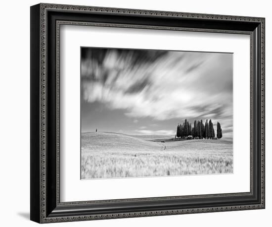 Italy, Tuscany, Siena District, Orcia Valley, Cypress on the Hill Near San Quirico D'Orcia-Francesco Iacobelli-Framed Photographic Print