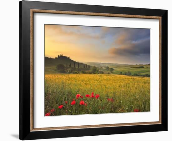 Italy, Tuscany, Siena District, Orcia Valley, Podere Belvedere Near San Quirico D'Orcia-Francesco Iacobelli-Framed Photographic Print