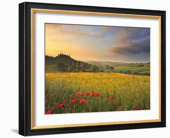 Italy, Tuscany, Siena District, Orcia Valley, Podere Belvedere Near San Quirico D'Orcia-Francesco Iacobelli-Framed Photographic Print