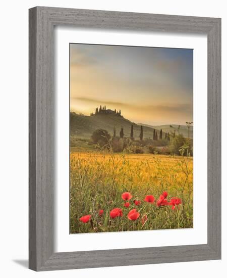 Italy, Tuscany, Siena District, Orcia Valley, Podere Belvedere Near San Quirico D'Orcia-Francesco Iacobelli-Framed Photographic Print