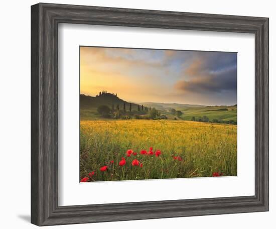 Italy, Tuscany, Siena District, Orcia Valley, Podere Belvedere Near San Quirico D'Orcia-Francesco Iacobelli-Framed Photographic Print