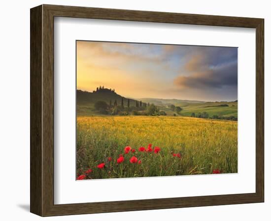 Italy, Tuscany, Siena District, Orcia Valley, Podere Belvedere Near San Quirico D'Orcia-Francesco Iacobelli-Framed Photographic Print