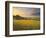 Italy, Tuscany, Siena District, Orcia Valley, Podere Belvedere Near San Quirico D'Orcia-Francesco Iacobelli-Framed Photographic Print