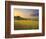 Italy, Tuscany, Siena District, Orcia Valley, Podere Belvedere Near San Quirico D'Orcia-Francesco Iacobelli-Framed Photographic Print