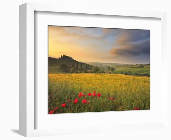 Italy, Tuscany, Siena District, Orcia Valley, Podere Belvedere Near San Quirico D'Orcia-Francesco Iacobelli-Framed Photographic Print