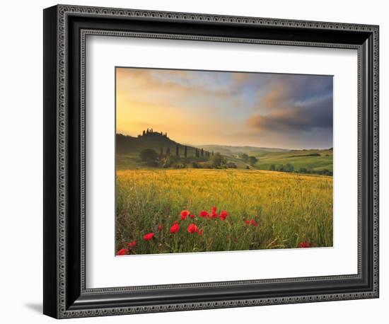 Italy, Tuscany, Siena District, Orcia Valley, Podere Belvedere Near San Quirico D'Orcia-Francesco Iacobelli-Framed Photographic Print