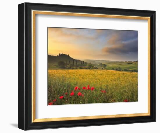 Italy, Tuscany, Siena District, Orcia Valley, Podere Belvedere Near San Quirico D'Orcia-Francesco Iacobelli-Framed Photographic Print