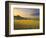 Italy, Tuscany, Siena District, Orcia Valley, Podere Belvedere Near San Quirico D'Orcia-Francesco Iacobelli-Framed Photographic Print