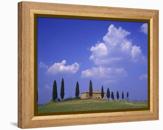 Italy, Tuscany, Siena, Pienza, Grange Province-Udo Siebig-Framed Premier Image Canvas