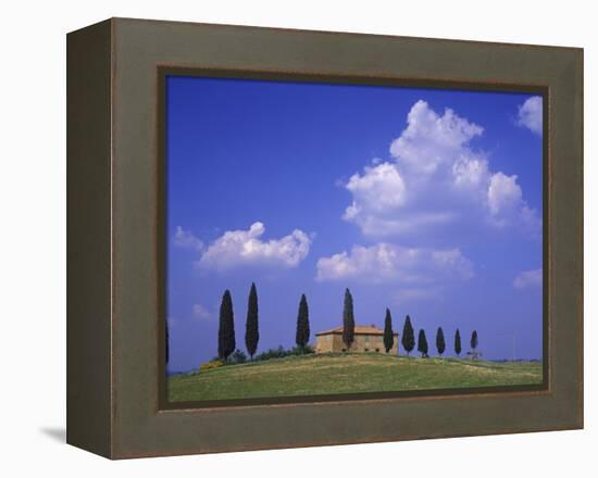 Italy, Tuscany, Siena, Pienza, Grange Province-Udo Siebig-Framed Premier Image Canvas