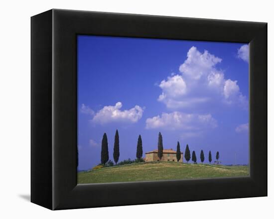 Italy, Tuscany, Siena, Pienza, Grange Province-Udo Siebig-Framed Premier Image Canvas