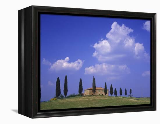 Italy, Tuscany, Siena, Pienza, Grange Province-Udo Siebig-Framed Premier Image Canvas