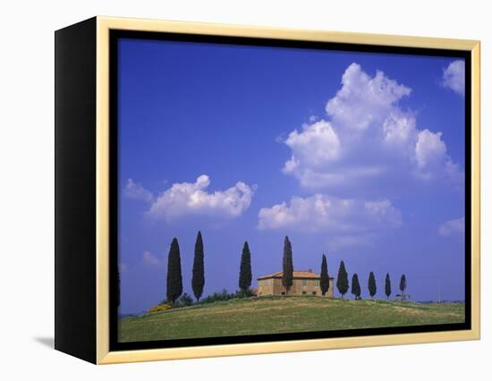 Italy, Tuscany, Siena, Pienza, Grange Province-Udo Siebig-Framed Premier Image Canvas