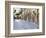 Italy, Tuscany. Streets Along the Small Medieval Town of Contignano-Julie Eggers-Framed Photographic Print