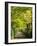 Italy, Tuscany. Tree Lined Road in the Chianti Region of Tuscany-Julie Eggers-Framed Photographic Print