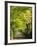 Italy, Tuscany. Tree Lined Road in the Chianti Region of Tuscany-Julie Eggers-Framed Photographic Print