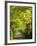 Italy, Tuscany. Tree Lined Road in the Chianti Region of Tuscany-Julie Eggers-Framed Photographic Print