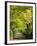 Italy, Tuscany. Tree Lined Road in the Chianti Region of Tuscany-Julie Eggers-Framed Photographic Print