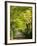 Italy, Tuscany. Tree Lined Road in the Chianti Region of Tuscany-Julie Eggers-Framed Photographic Print