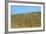 Italy, Tuscany, Val D'Orcia Natural Park, Rural Landscape-null-Framed Giclee Print