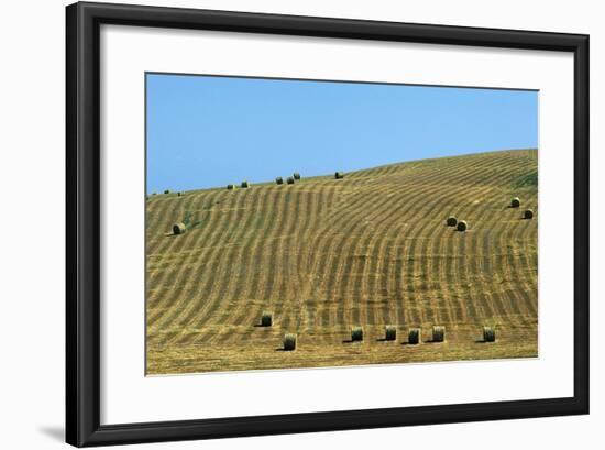 Italy, Tuscany, Val D'Orcia Natural Park, Rural Landscape-null-Framed Giclee Print