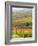 Italy, Tuscany, Val Dorcia. Colorful Vineyards and Olive Trees in Fall-Julie Eggers-Framed Photographic Print