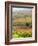 Italy, Tuscany, Val Dorcia. Colorful Vineyards and Olive Trees in Fall-Julie Eggers-Framed Photographic Print