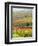 Italy, Tuscany, Val Dorcia. Colorful Vineyards and Olive Trees in Fall-Julie Eggers-Framed Photographic Print