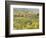 Italy, Tuscany, Val Dorcia. Colorful Vineyards and Olive Trees in Fall-Julie Eggers-Framed Photographic Print