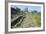 Italy, Tuscany, Vetulonia, Etruscan Necropolis-null-Framed Giclee Print