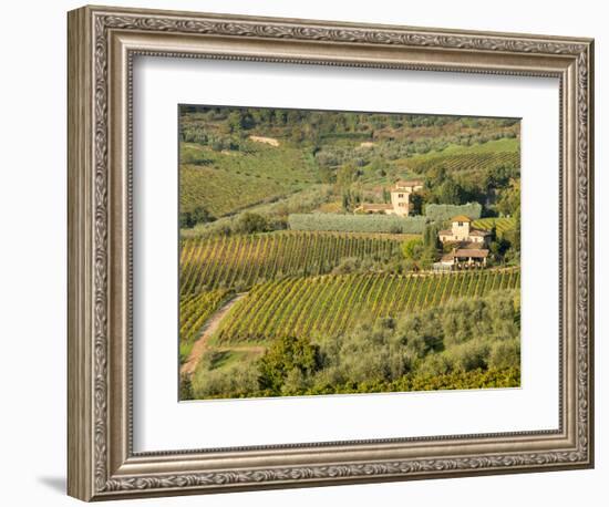 Italy, Tuscany. Vines and Olive Groves of a Rural Village-Julie Eggers-Framed Photographic Print