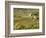 Italy, Tuscany. Vines and Olive Groves of a Rural Village-Julie Eggers-Framed Photographic Print