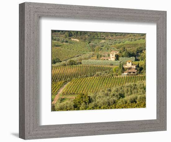 Italy, Tuscany. Vines and Olive Groves of a Rural Village-Julie Eggers-Framed Photographic Print