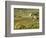 Italy, Tuscany. Vines and Olive Groves of a Rural Village-Julie Eggers-Framed Photographic Print