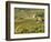 Italy, Tuscany. Vines and Olive Groves of a Rural Village-Julie Eggers-Framed Photographic Print