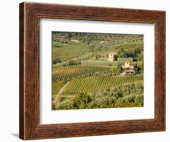 Italy, Tuscany. Vines and Olive Groves of a Rural Village-Julie Eggers-Framed Photographic Print