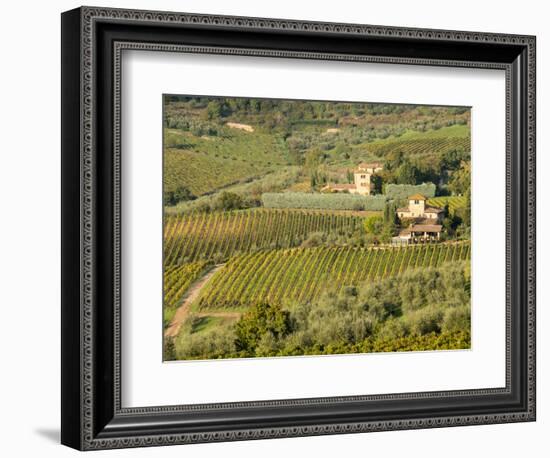 Italy, Tuscany. Vines and Olive Groves of a Rural Village-Julie Eggers-Framed Photographic Print