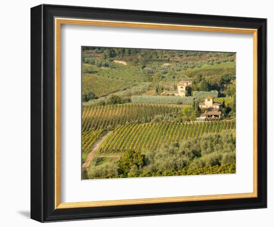 Italy, Tuscany. Vines and Olive Groves of a Rural Village-Julie Eggers-Framed Photographic Print