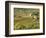 Italy, Tuscany. Vines and Olive Groves of a Rural Village-Julie Eggers-Framed Photographic Print